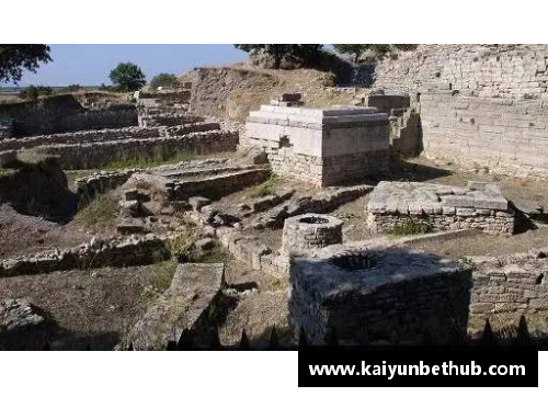 kaiyun开云神秘古罗马宝藏在废弃农场被发现，考古专家展开全面挖掘 - 副本
